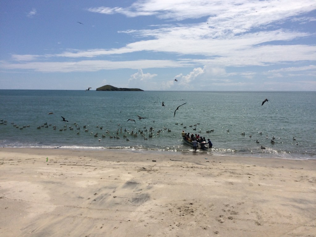 Beach & birds