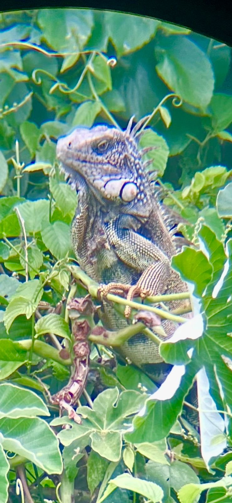 Drei Bilder in drei Minuten und&nbsp;Bonus